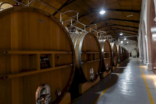 Tours & Tastings