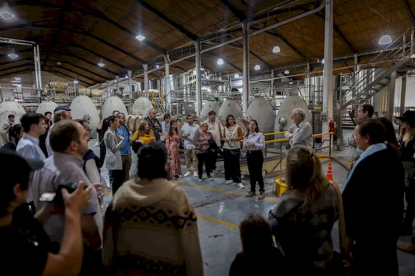 Tours & Tastings