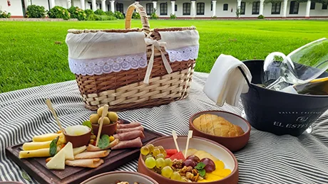 Picnic Experience for Two